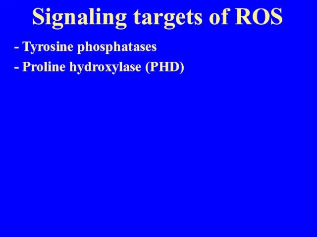 Signaling targets of ROS - Tyrosine phosphatases - Proline hydroxylase (PHD)