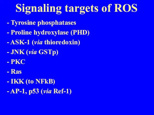 Signaling targets of ROS - Tyrosine phosphatases - Proline hydroxylase (PHD) -