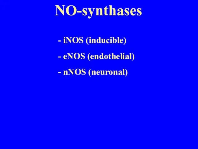 NO-synthases - iNOS (inducible) - eNOS (endothelial) - nNOS (neuronal)