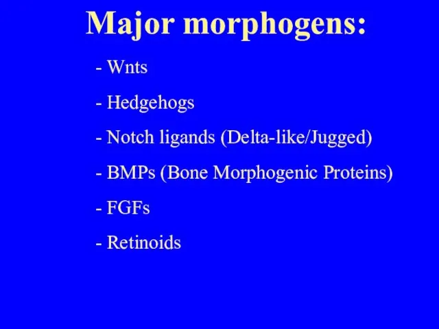 Major morphogens: - Wnts - Hedgehogs - Notch ligands (Delta-like/Jugged) - BMPs