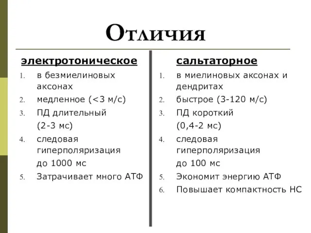 Отличия электротоническое в безмиелиновых аксонах медленное ( ПД длительный (2-3 мс) следовая