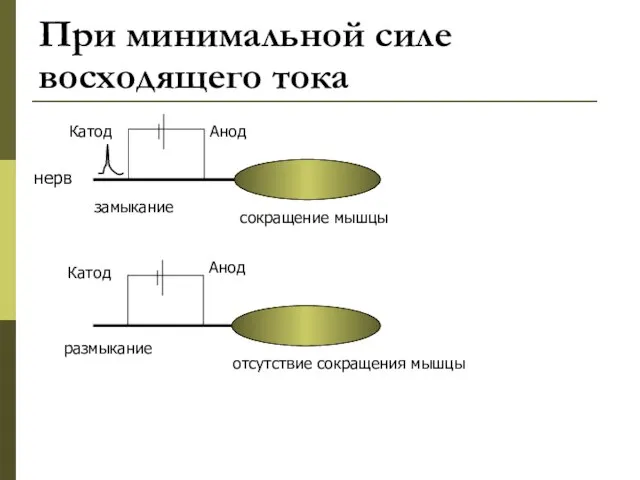 При минимальной силе восходящего тока Анод Катод Катод Анод замыкание размыкание сокращение