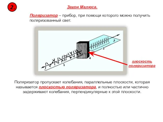 Закон Малюса. Поляризатор – прибор, при помощи которого можно получить поляризованный свет.