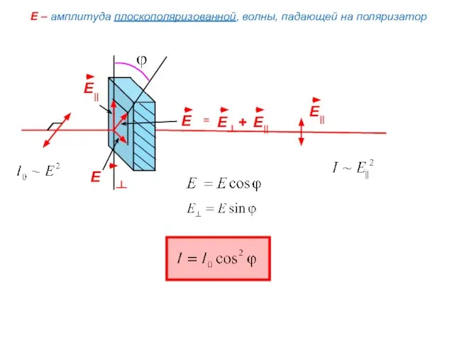 E – амплитуда плоскополяризованной, волны, падающей на поляризатор