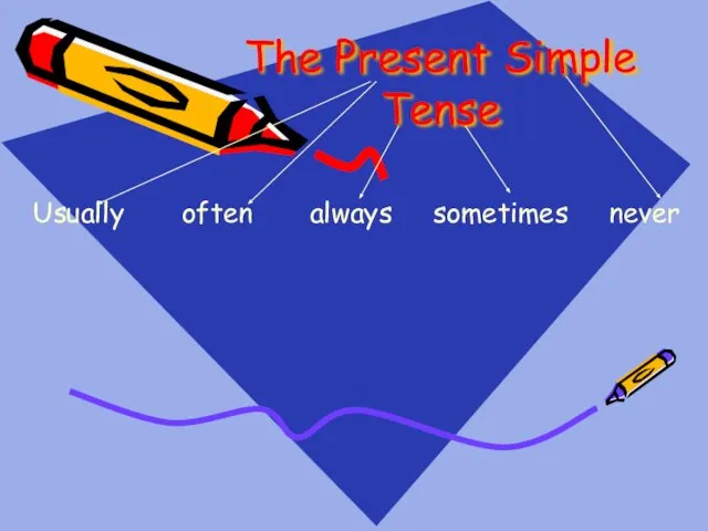The Present Simple Tense Usually often always sometimes never