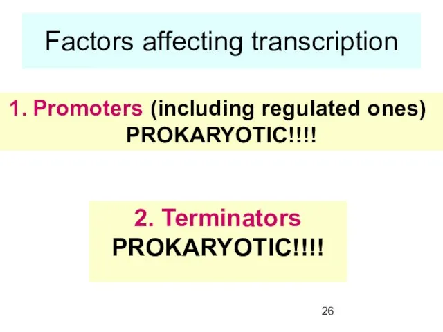Factors affecting transcription Promoters (including regulated ones) PROKARYOTIC!!!! 2. Terminators PROKARYOTIC!!!!