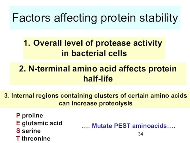 Factors affecting protein stability Overall level of protease activity in bacterial cells