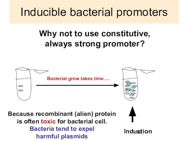 Inducible bacterial promoters Why not to use constitutive, always strong promoter? Induction