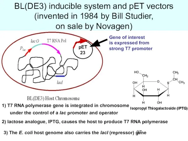 BL(DE3) inducible system and pET vectors (invented in 1984 by Bill Studier,