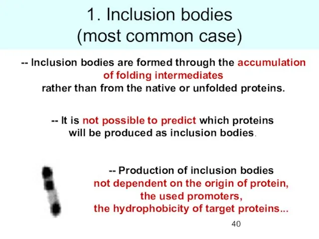 1. Inclusion bodies (most common case) -- Inclusion bodies are formed through