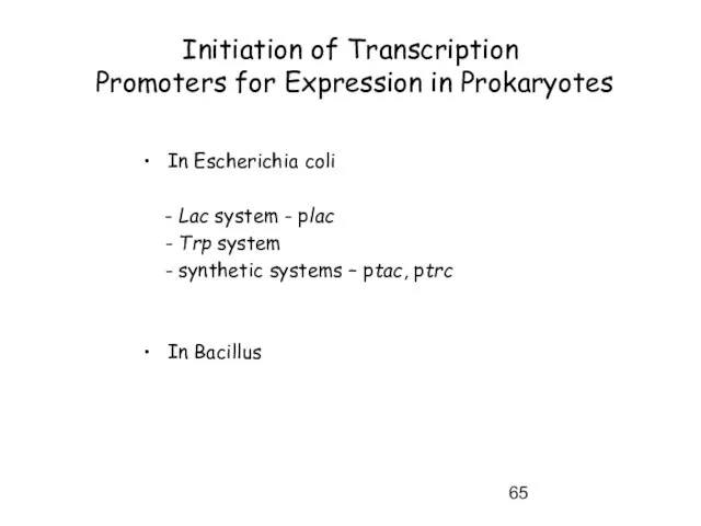 Initiation of Transcription Promoters for Expression in Prokaryotes In Escherichia coli -