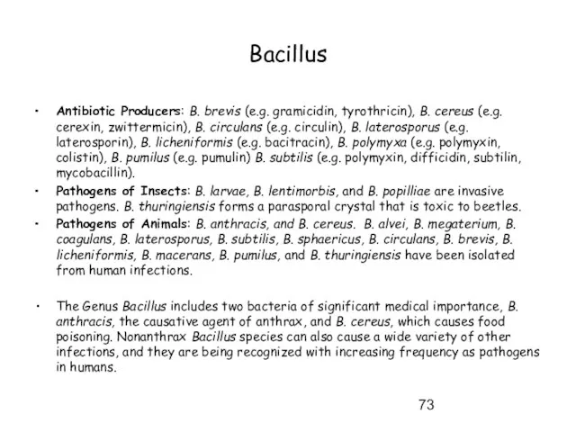 Bacillus Antibiotic Producers: B. brevis (e.g. gramicidin, tyrothricin), B. cereus (e.g. cerexin,