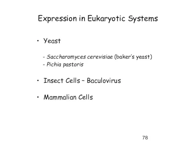 Expression in Eukaryotic Systems Yeast - Saccharomyces cerevisiae (baker’s yeast) - Pichia