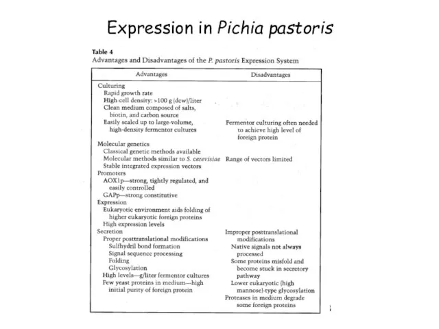 Expression in Pichia pastoris