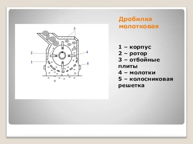 Дробилка молотковая 1 – корпус 2 – ротор 3 – отбойные плиты