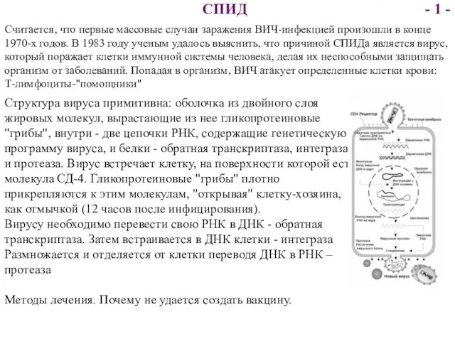 Считается, что первые массовые случаи заражения ВИЧ-инфекцией произошли в конце 1970-х годов.