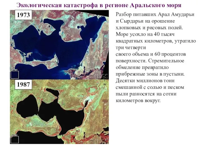 Экологическая катастрофа в регионе Аральского моря 1973 1987 Разбор питавших Арал Амударьи