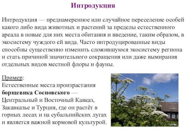 Интродукция Интродукция — преднамеренное или случайное переселение особей какого либо вида животных