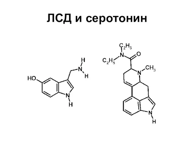 ЛСД и серотонин