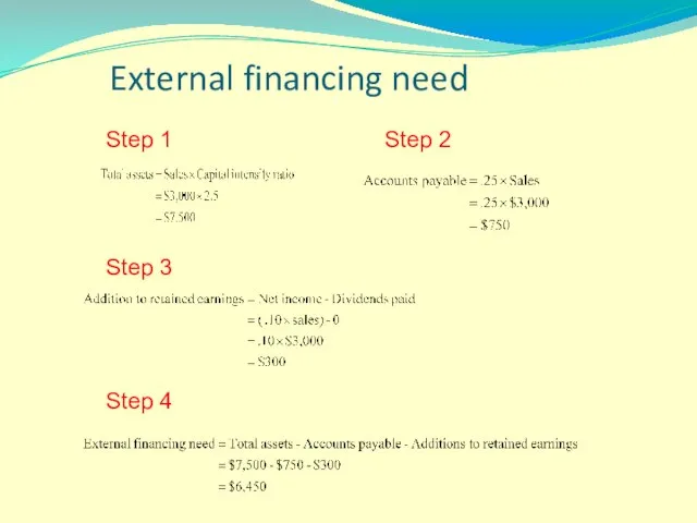 External financing need Step 2 Step 3 Step 4 Step 1