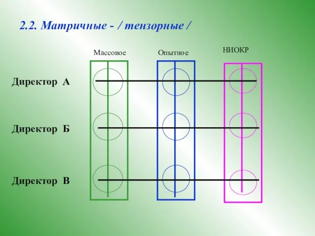 2.2. Матричные - / тензорные / Массовое Опытное НИОКР Директор А Директор Б Директор В