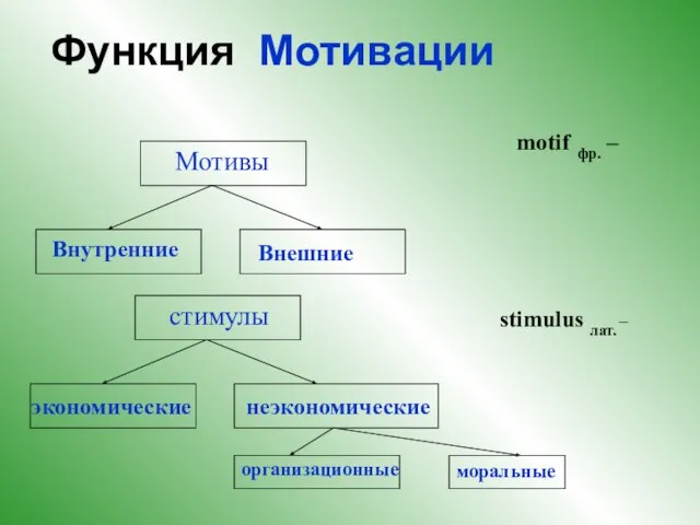 Функция Мотивации Мотивы Внутренние Внешние motif фр. – стимулы экономические неэкономические stimulus лат. – организационные моральные