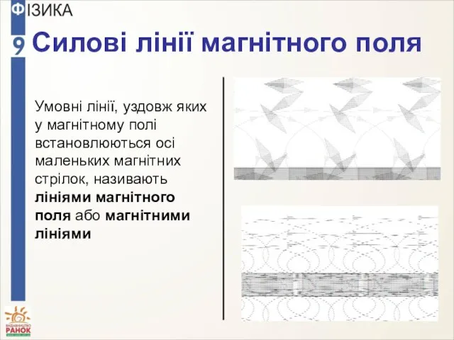 Силові лінії магнітного поля Умовні лінії, уздовж яких у магнітному полі встановлюються