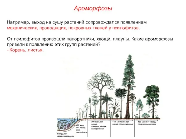 Например, выход на сушу растений сопровождался появлением механических, проводящих, покровных тканей у