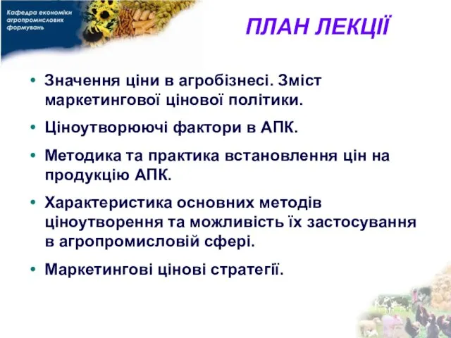 ПЛАН ЛЕКЦІЇ Значення ціни в агробізнесі. Зміст маркетингової цінової політики. Ціноутворюючі фактори