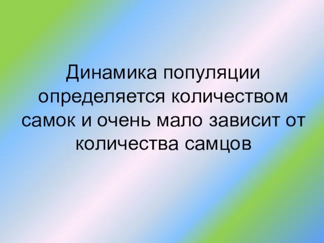 Динамика популяции определяется количеством самок и очень мало зависит от количества самцов