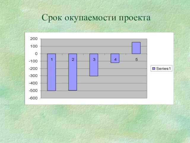 Срок окупаемости проекта