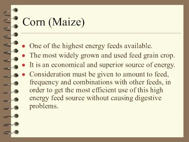 Corn (Maize) One of the highest energy feeds available. The most widely