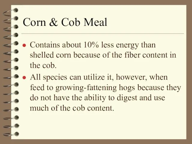 Corn & Cob Meal Contains about 10% less energy than shelled corn