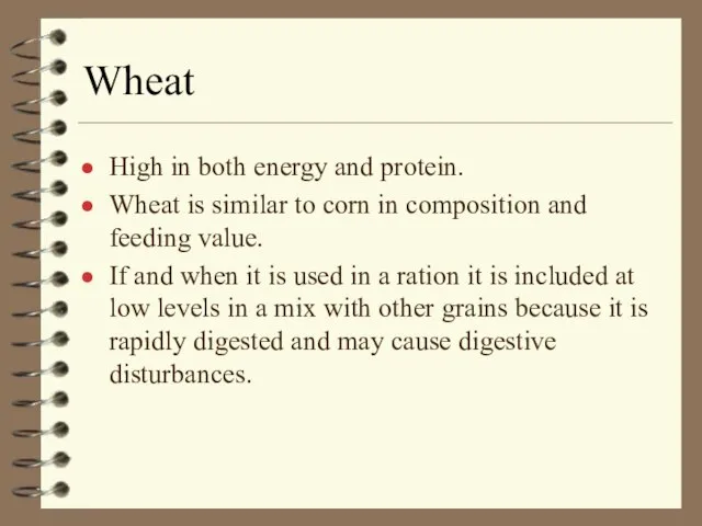 Wheat High in both energy and protein. Wheat is similar to corn