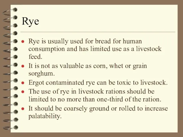Rye Rye is usually used for bread for human consumption and has