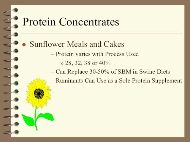 Protein Concentrates Sunflower Meals and Cakes Protein varies with Process Used 28,