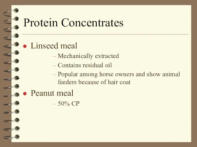 Protein Concentrates Linseed meal Mechanically extracted Contains residual oil Popular among horse
