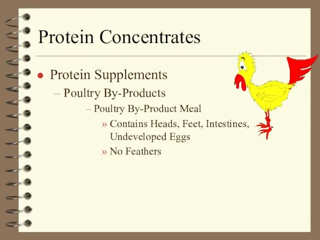 Protein Concentrates Protein Supplements Poultry By-Products Poultry By-Product Meal Contains Heads, Feet,