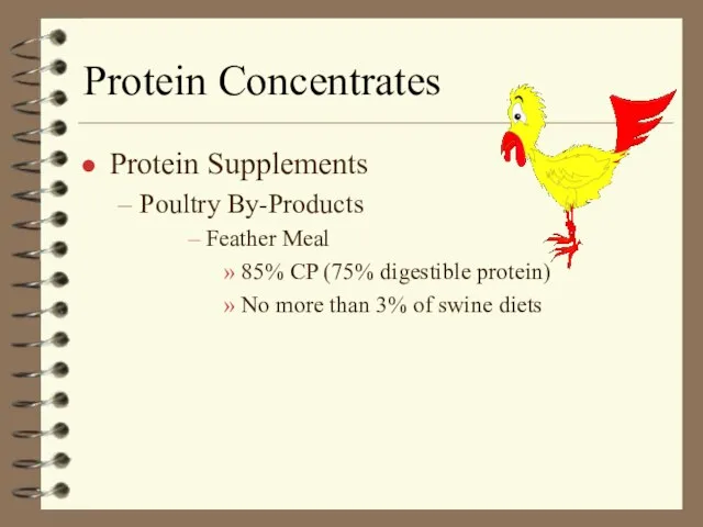 Protein Concentrates Protein Supplements Poultry By-Products Feather Meal 85% CP (75% digestible