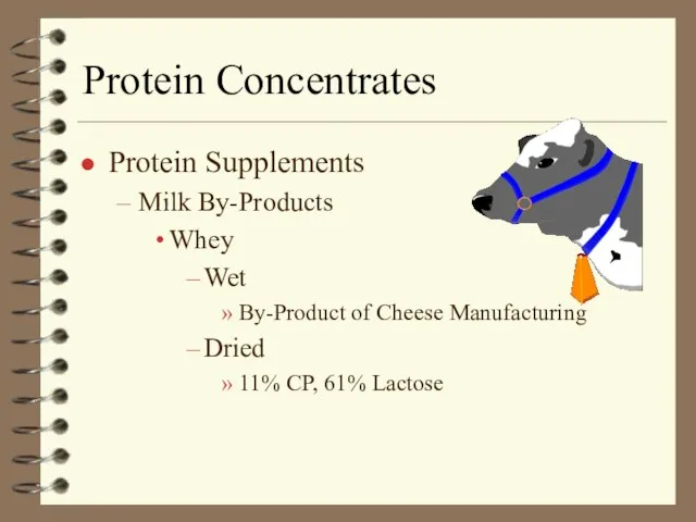 Protein Concentrates Protein Supplements Milk By-Products Whey Wet By-Product of Cheese Manufacturing