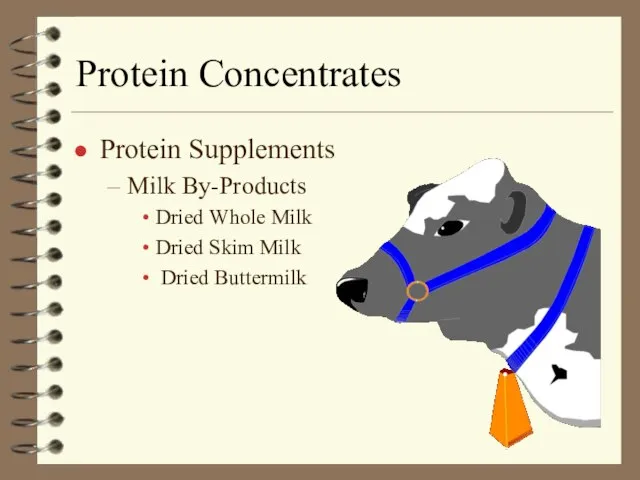 Protein Concentrates Protein Supplements Milk By-Products Dried Whole Milk Dried Skim Milk Dried Buttermilk