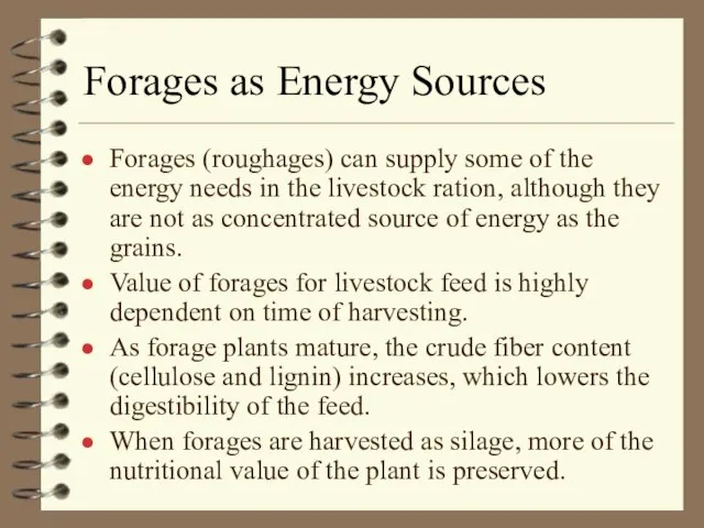 Forages as Energy Sources Forages (roughages) can supply some of the energy