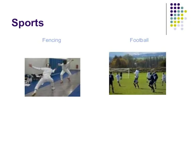 Sports Fencing Football