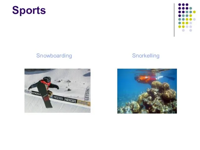 Sports Snowboarding Snorkelling