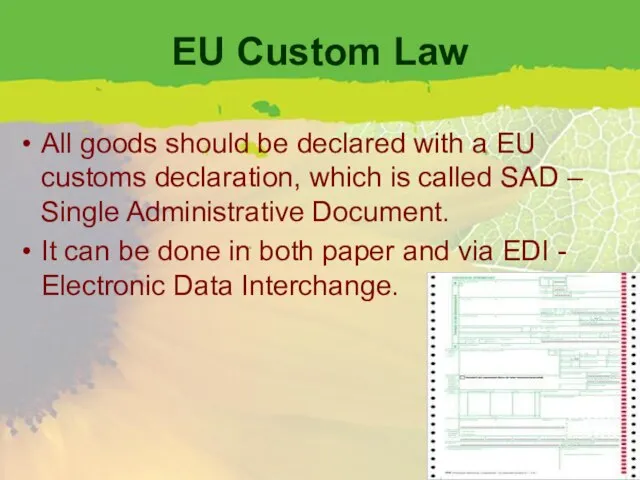 EU Custom Law All goods should be declared with a EU customs