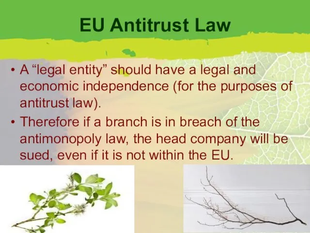 EU Antitrust Law A “legal entity” should have a legal and economic