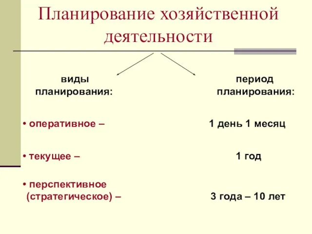 Планирование хозяйственной деятельности виды период планирования: планирования: оперативное – 1 день 1