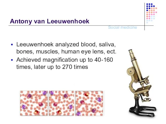 Antony van Leeuwenhoek Leeuwenhoek analyzed blood, saliva, bones, muscles, human eye lens,