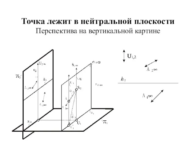 Точка лежит в нейтральной плоскости Перспектива на вертикальной картине