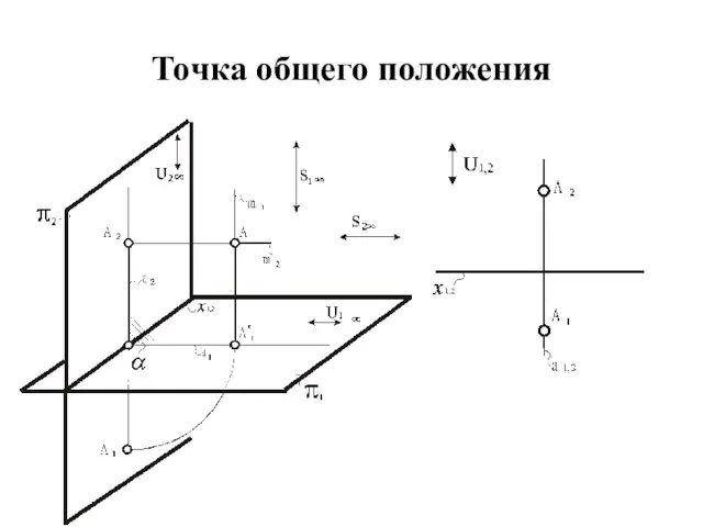 Точка общего положения